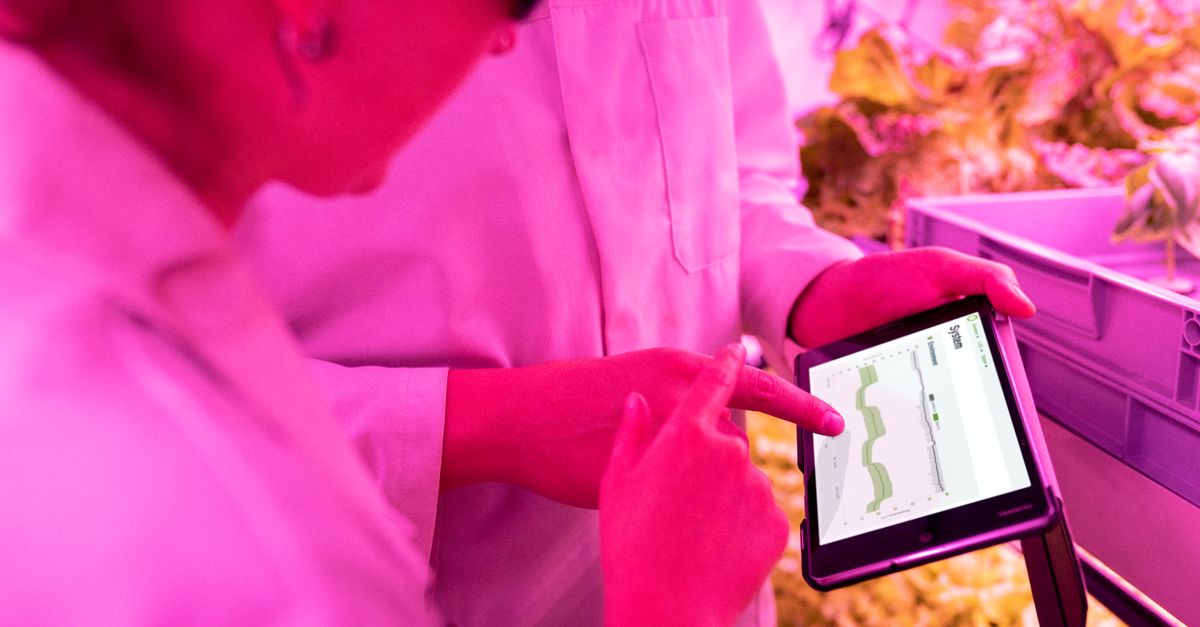 Cuan dari Ladang Modern: Kenapa Teknologi Pertanian Makin Laris Manis?